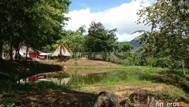 2 Fincas en una Nilo-Agua de Dios - Finca en Nilo, Cundinamarca